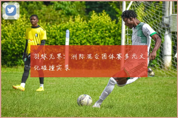 羽球无界：洲际混合团体赛多元文化碰撞实录